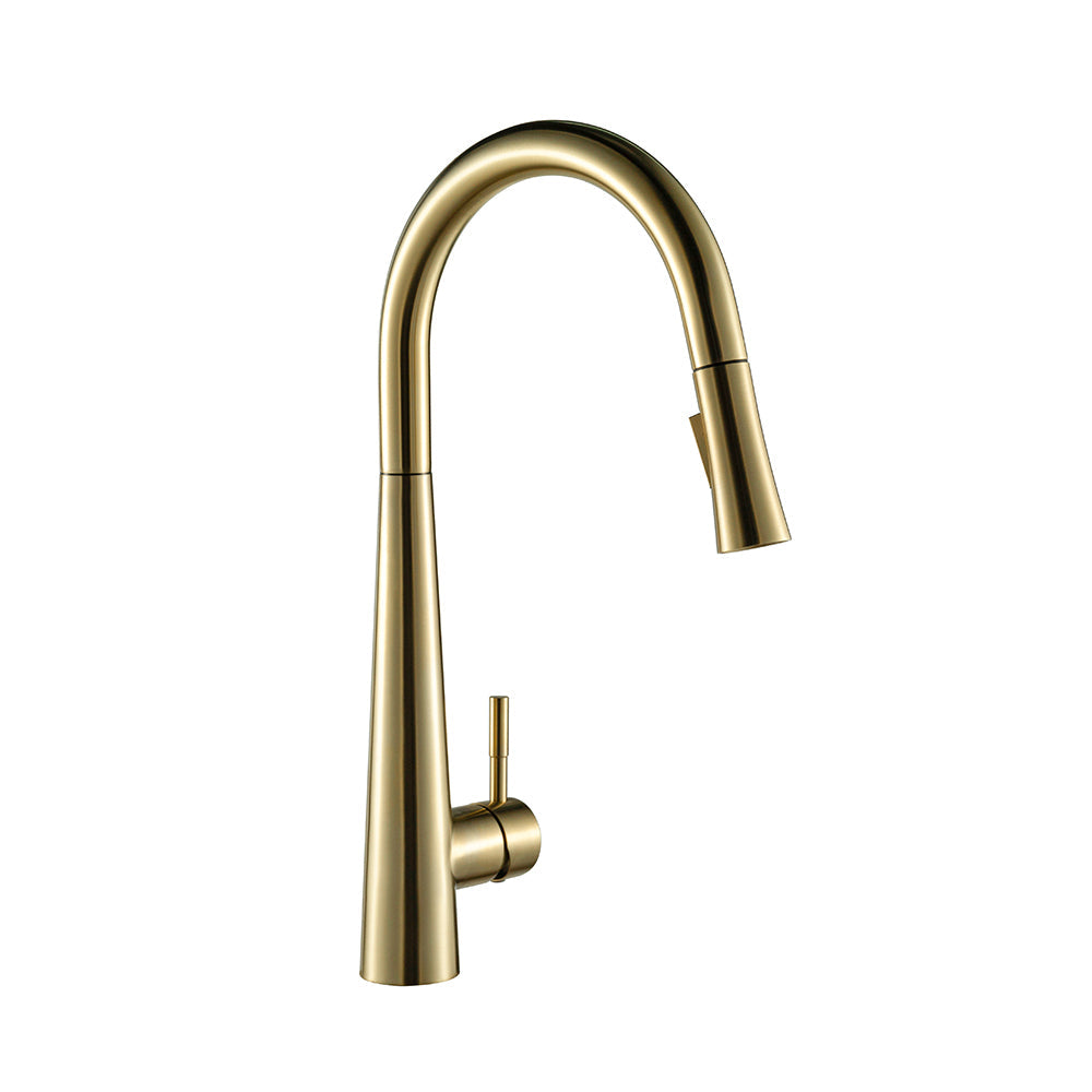 FLUME™ Single Hole Pull Down Kitchen Faucet