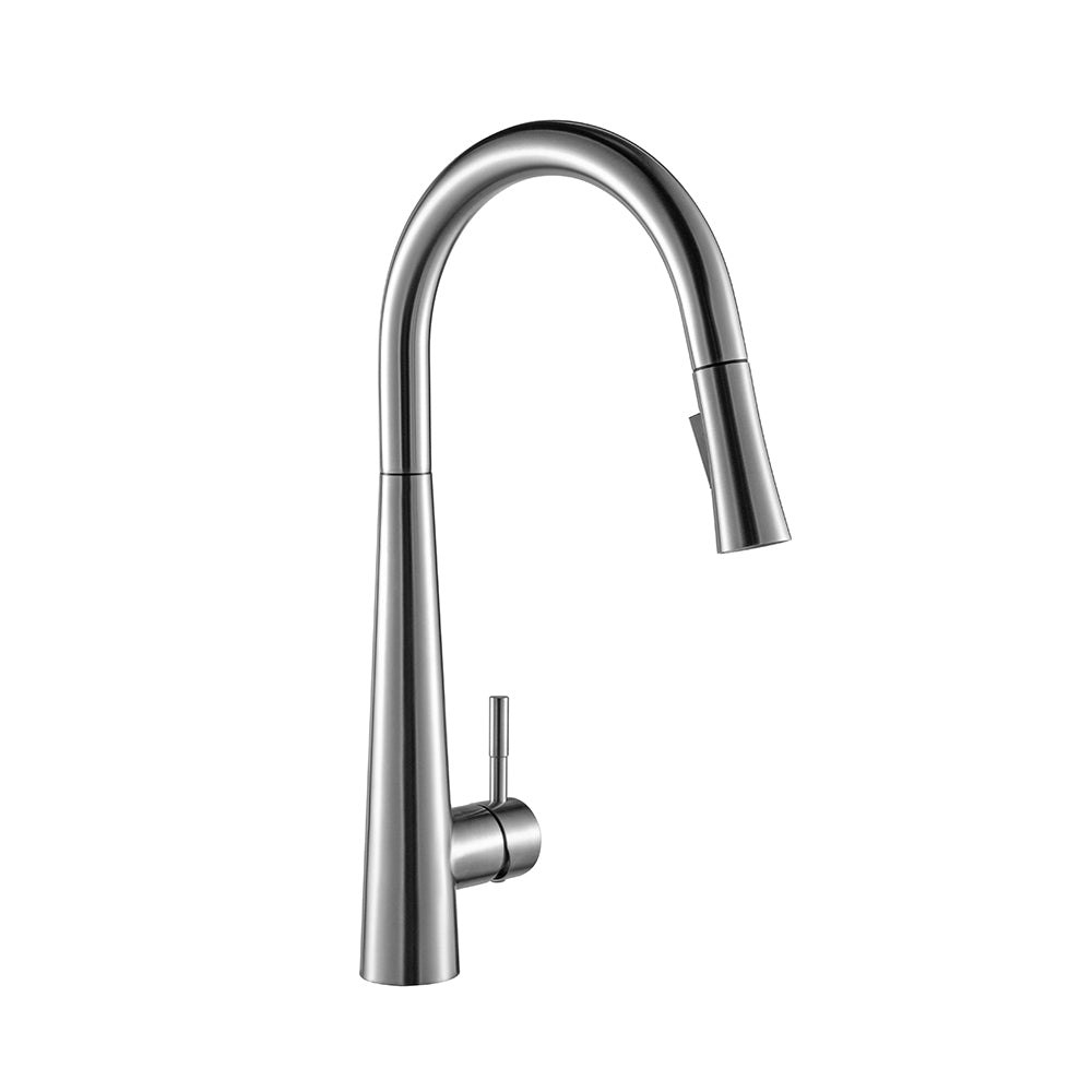 FLUME™ Single Hole Pull Down Kitchen Faucet
