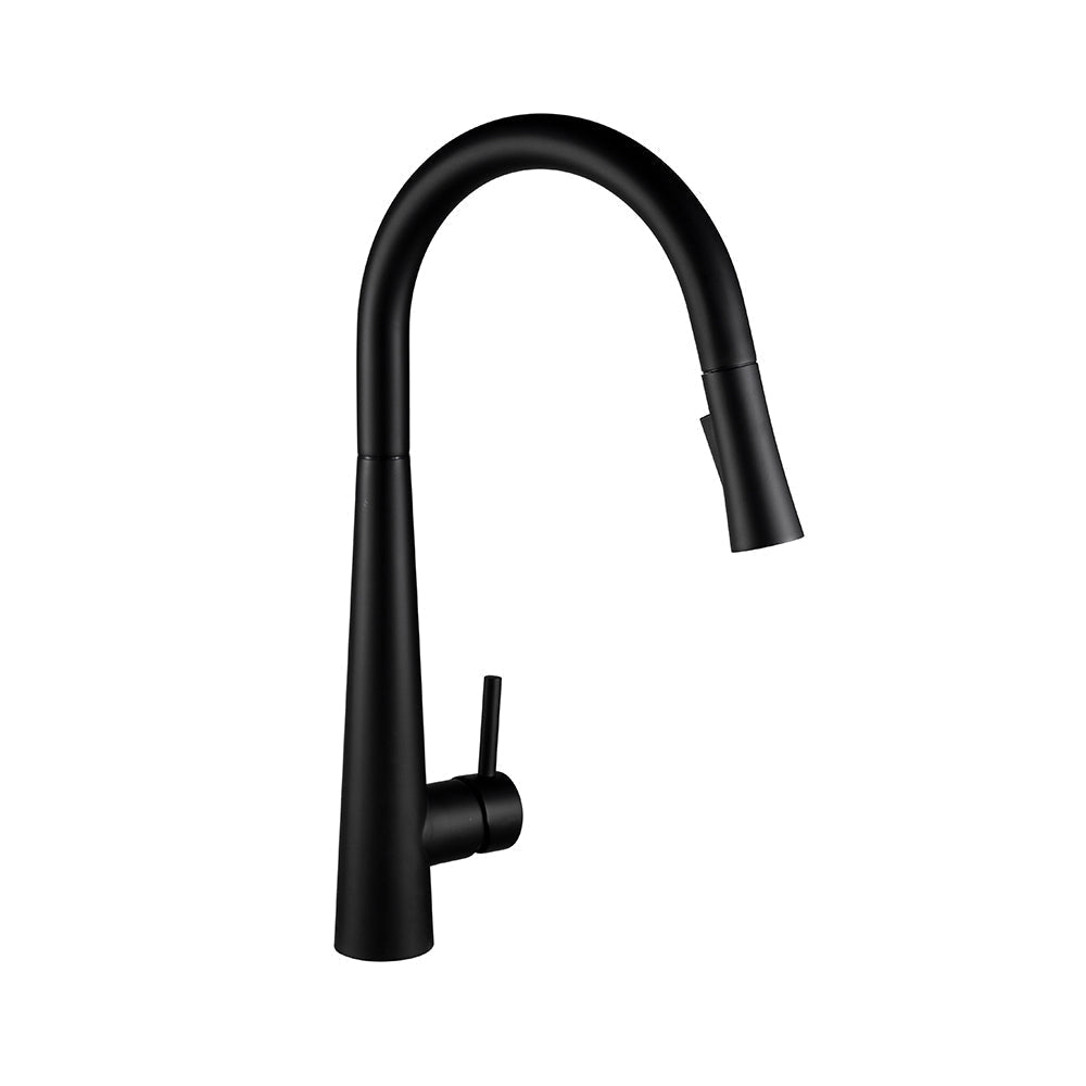 Single Hole Pull Down Kitchen Faucet