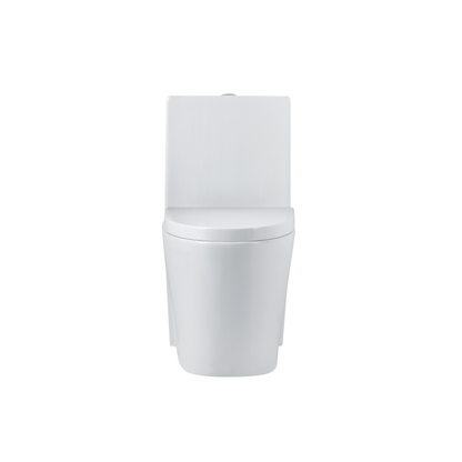 Fusion™ One Piece Modern Elongated Toliet