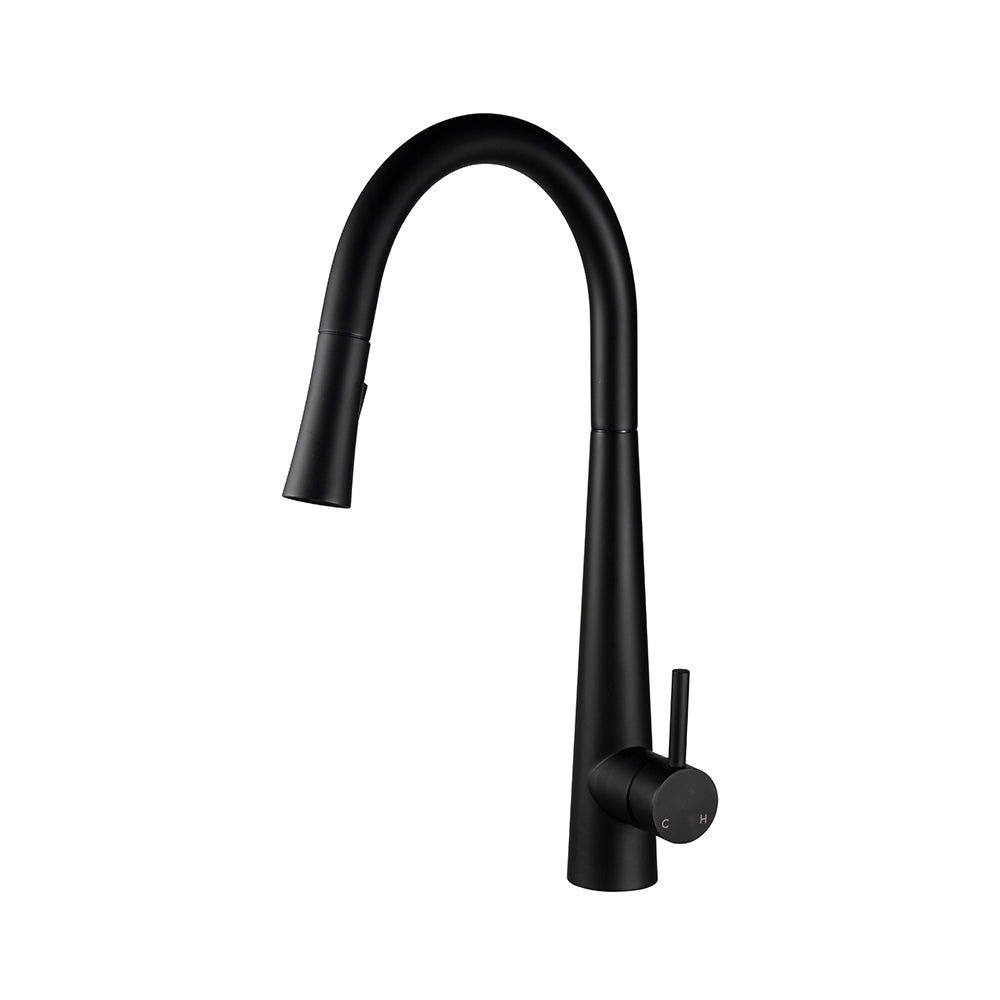 Single Hole Pull Down Kitchen Faucet