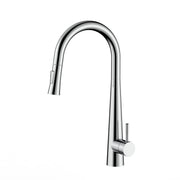 Single Hole Pull Down Kitchen Faucet