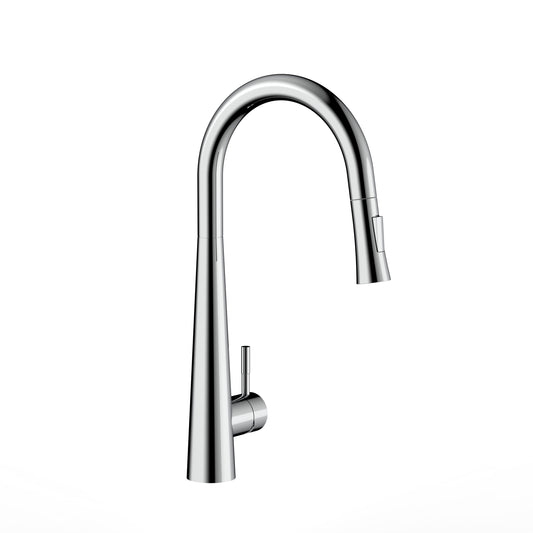 FLUME™        Single Hole Pull Down Kitchen Faucet